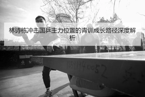 林诗栋冲击国乒主力位置的青训成长路径深度解析