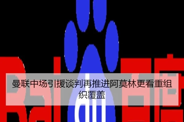 曼联中场引援谈判再推进阿莫林更看重组织覆盖